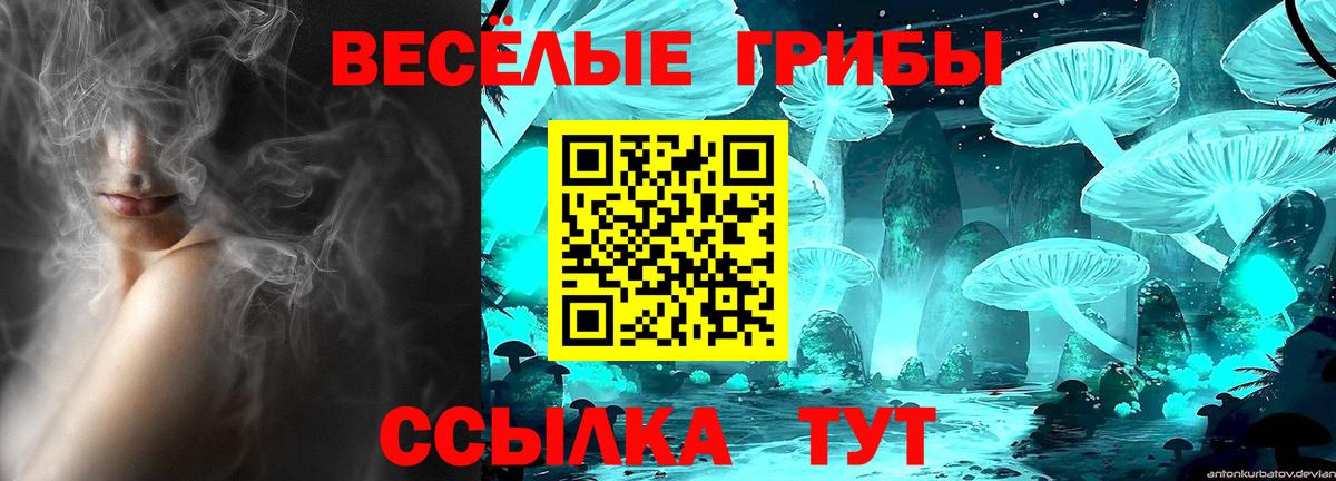 Псилоцибиновые грибы Cubensis Орёл