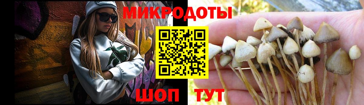 Орёл  Галлюциногенные грибы Psilocybe  где купить наркотик  Вход с VPN 